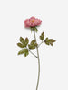 Westside Home Dusty Pink Artificial Small Peony Flower