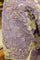 Soft Organza Designer Silk Sarees