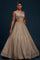 Designer Partywear Lehenga