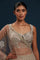 Designer Partywear Lehenga