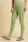 Green Cotton Jersey Tights