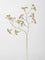 Westside Home Golden Metal Gypsophilia Stem