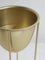 Westside Home Gold Oval Ring Planter