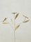 Westside Home Gold Metal Flower Decorative Accessory