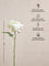 Westside Home White Artificial Rose Flower