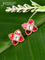 Bugadi earrings floral design with pink jadau kundan stones