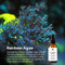 10% Vitamic C Serum 20ml