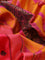 Pure kanchipuram silk saree candy pink and dual shade of pinkish yellow with thread woven buttas and thread woven border