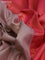 Pure soft silk saree beige and peach pink with rudhraksha zari woven buttas and rettapet zari woven border