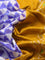 Pochampally silk saree blue shade and mustard yellow with allover ikat prints and zari woven ikat style border