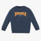 Boys Regular Fit Printed Sweat Tee