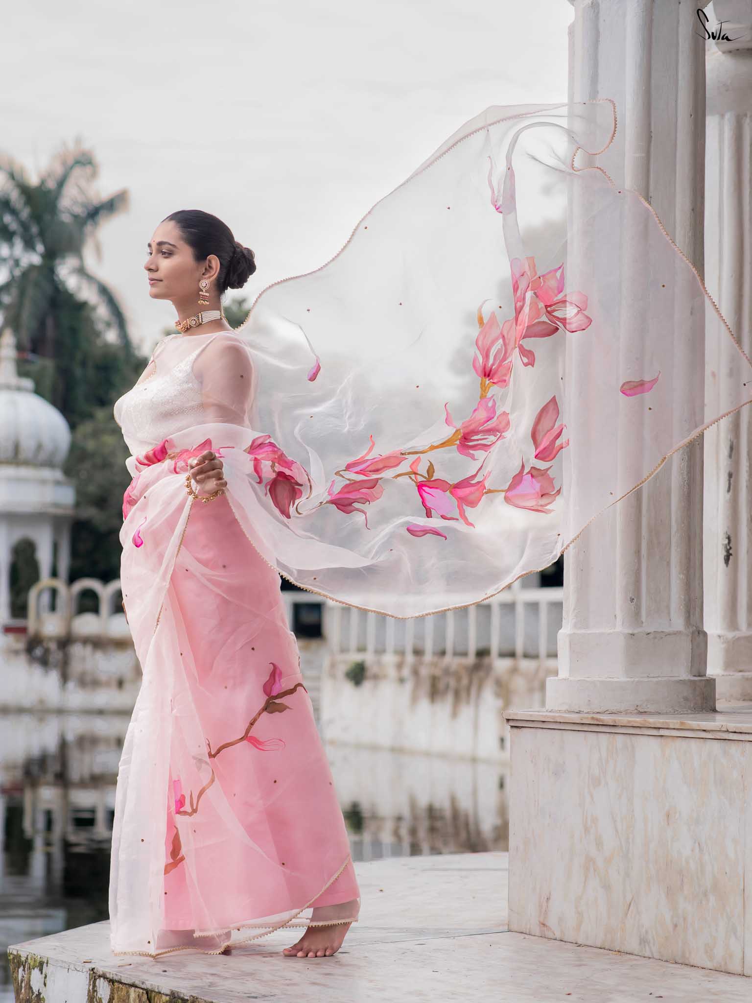 Blushing Magnolia Blooms