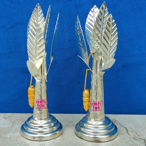 German Silver Tree, Banana Tree Height - 6 Inches (Pack of 2 Pcs)