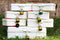 7 Locks 7 Calls