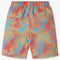 Boys Comfort Fit Printed Mid Rise Shorts