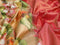 Pure kanjivaram silk saree sandal and red with allover floral digital prints & zari weaves and long zari woven border