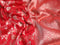 Pure banarasi uppada silk saree red with allover zari woven floral weaves and zari woven border