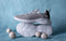The CloudKnit Sneakers : Grey