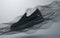 Elevate Slip Ons : Black