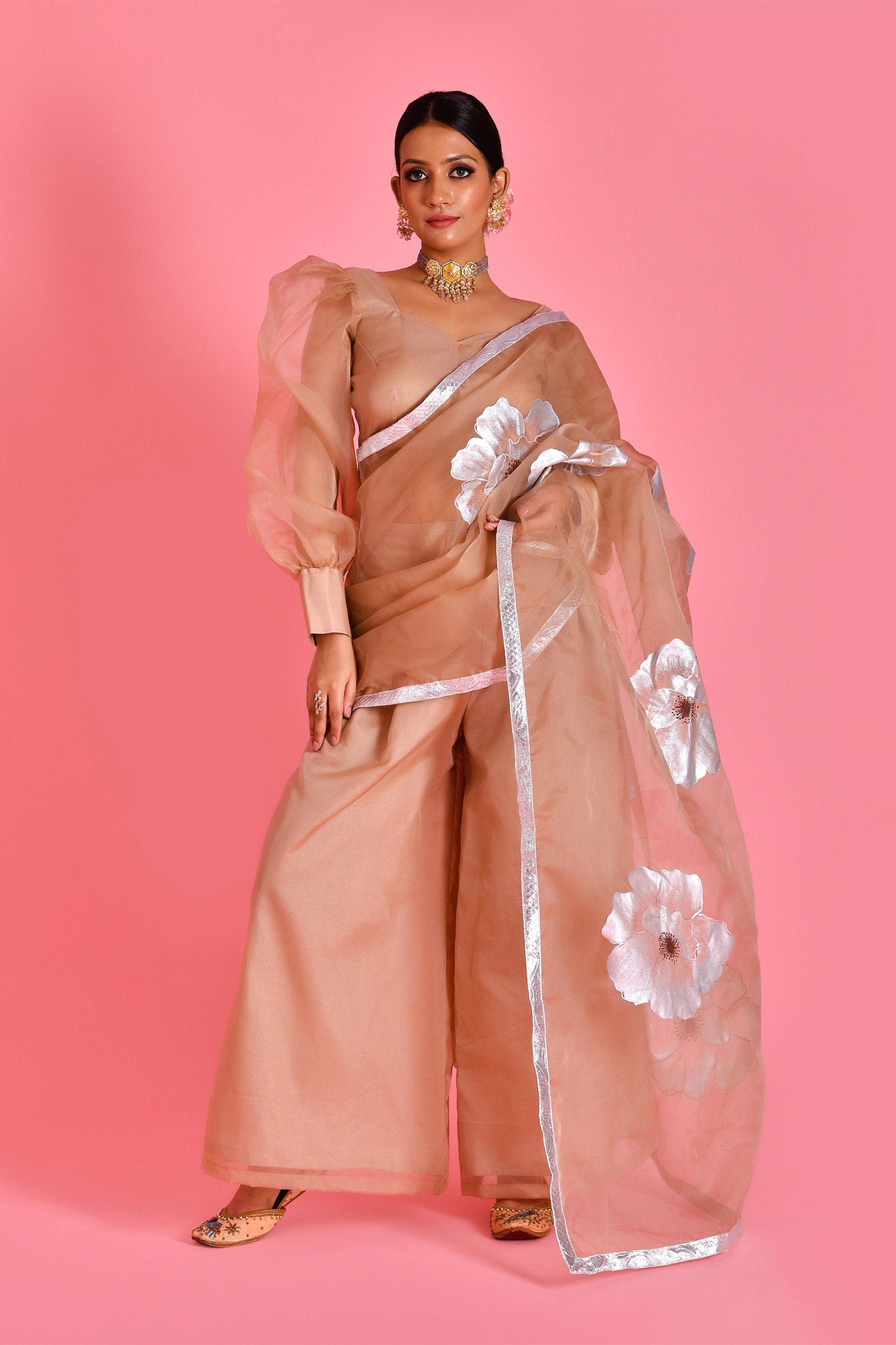 Beige Organza Saree With Floral Paint