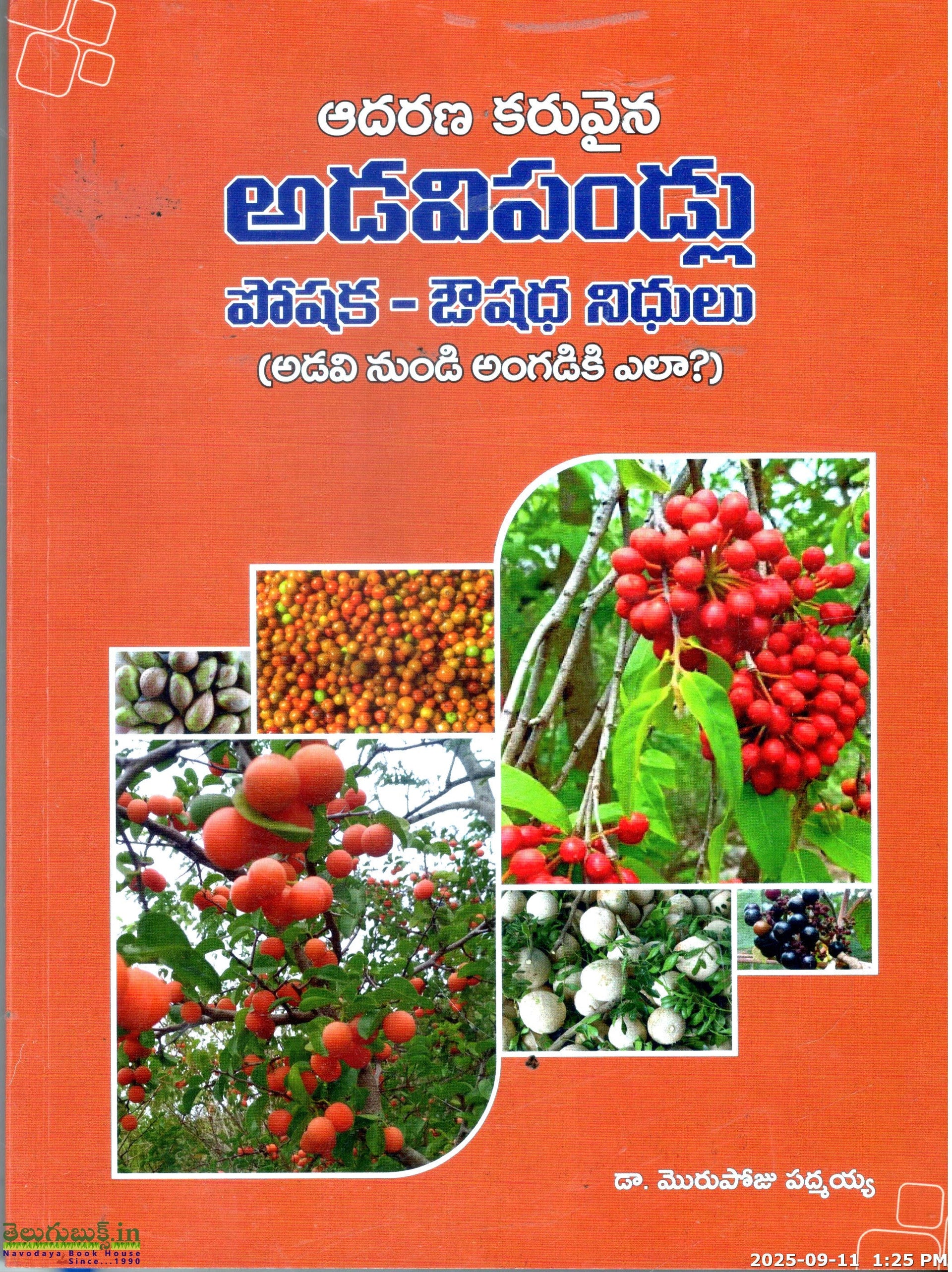 Adavaipandlu-Poshaka Oushada Nidhulu