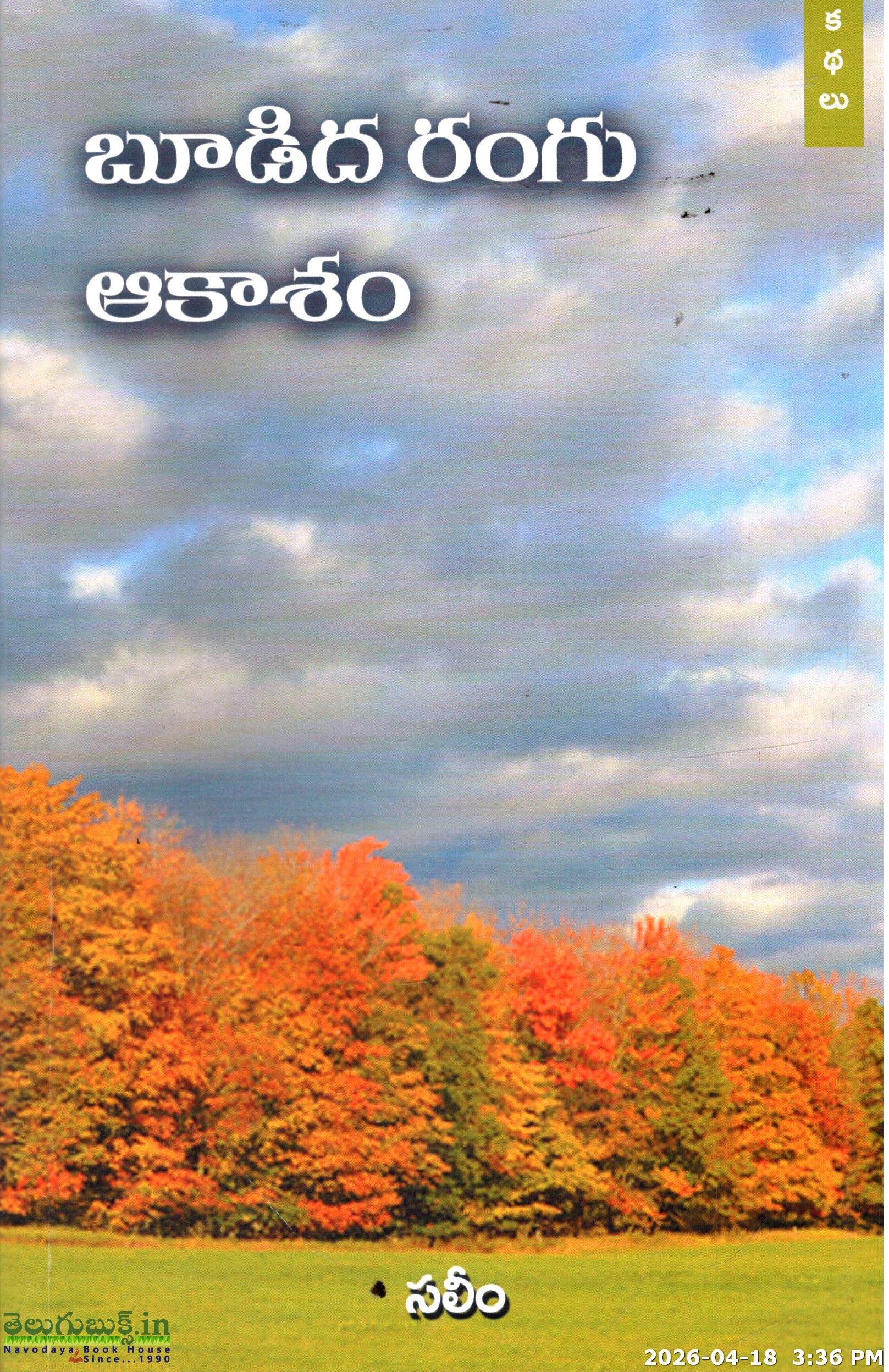 Boodida Rangu Akasam