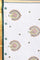 coimbatore Cotton Saree - White