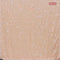 Designer georgette saree pale orange with allover chamki & beaded work