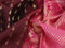 Pure soft silk saree deep maroon and pink with allover zari woven butta weaves and zari woven simple border