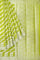 LIME GREEN and SILVER FLORAL JAAL CHIFFON Saree with BANARASI FANCY