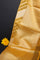 Designer Organza Yellow Saree