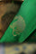 Venkatagiri Silk Bottle Green Saree